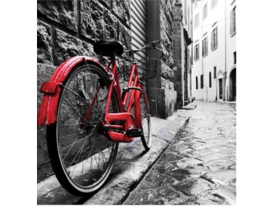 СЛИКА КАНВАС 50Х50