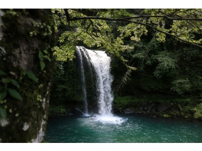 СЛИКА КАНВАС 200*140