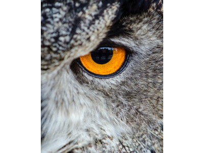 СЛИКА КАНВАС 140*100