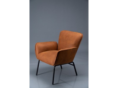 ФОТЕЛЈА ЕЛСА