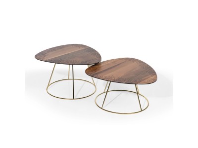 КЛУБ МАСИ СЕТ БОТАНИК