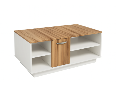 КЛУБ БРУНО ЛЕШНИК ФОЛИЈА