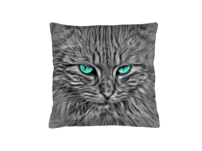 ПЕРНИЦА БАЛТАЗАР