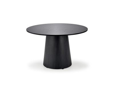 ТРП. МАСА ГИНТЕР