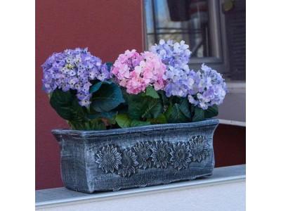 САКСИЈА ПЛАНИКА Л КАФЕНА (0)