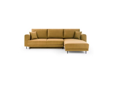 АГ ДАЛИА ЖОЛТА ДЕСНА